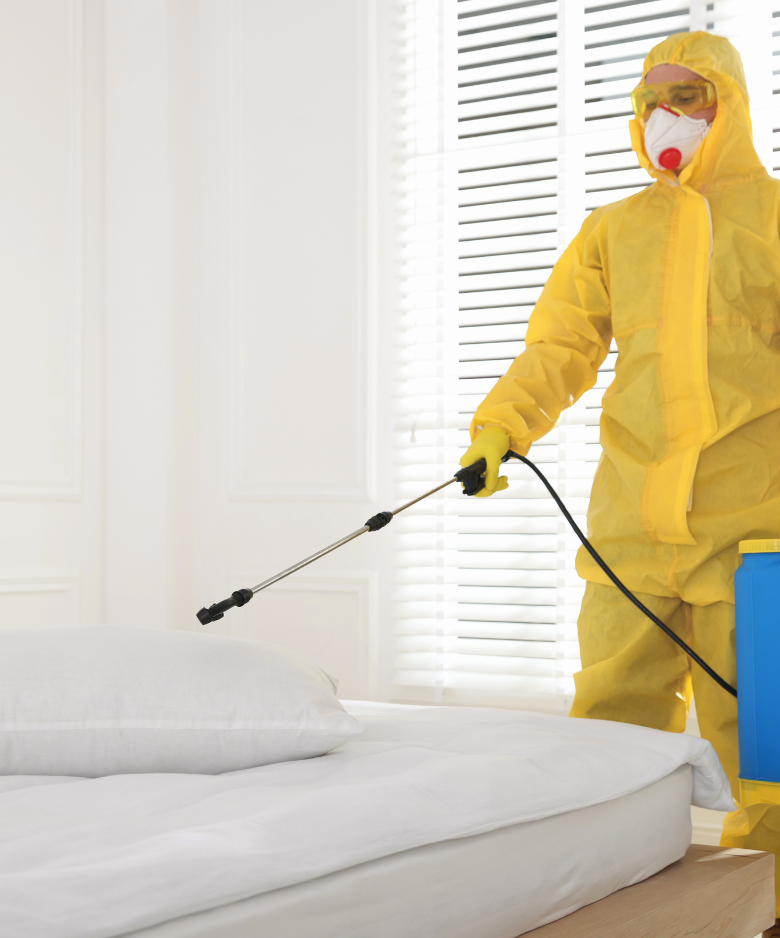 Professional Pest Control Team in Munno Para Downs